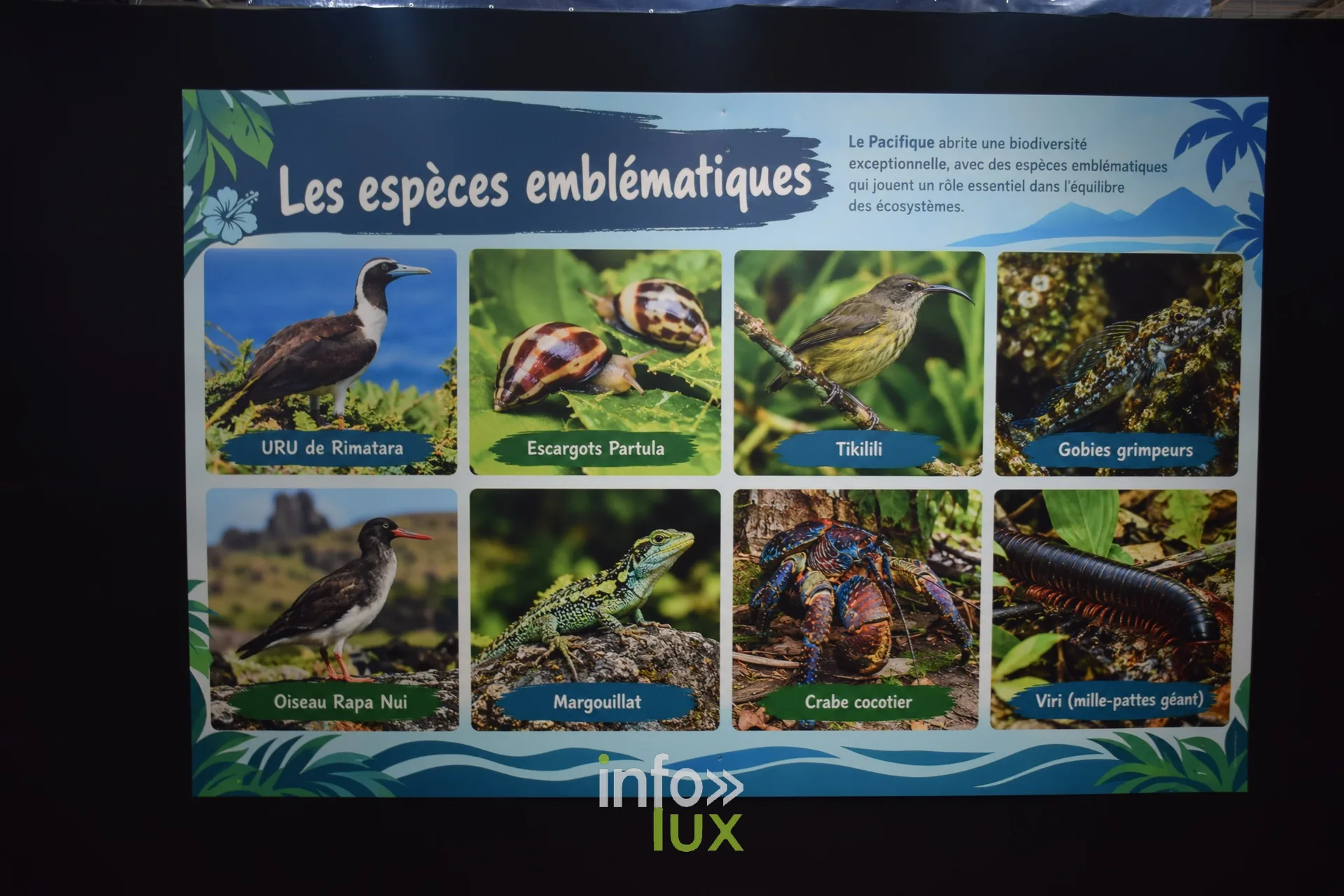 Panneau « Les espèces emblématiques » du Pacifique, Foire internationale de Metz 2026