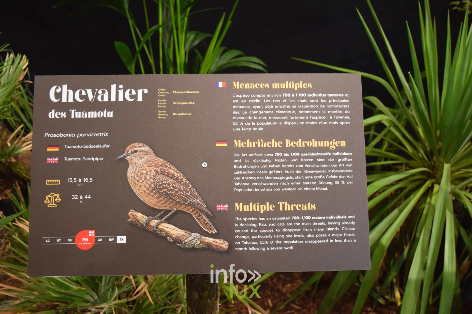 Panneau du Chevalier des Tuamotu, Foire internationale de Metz 2026