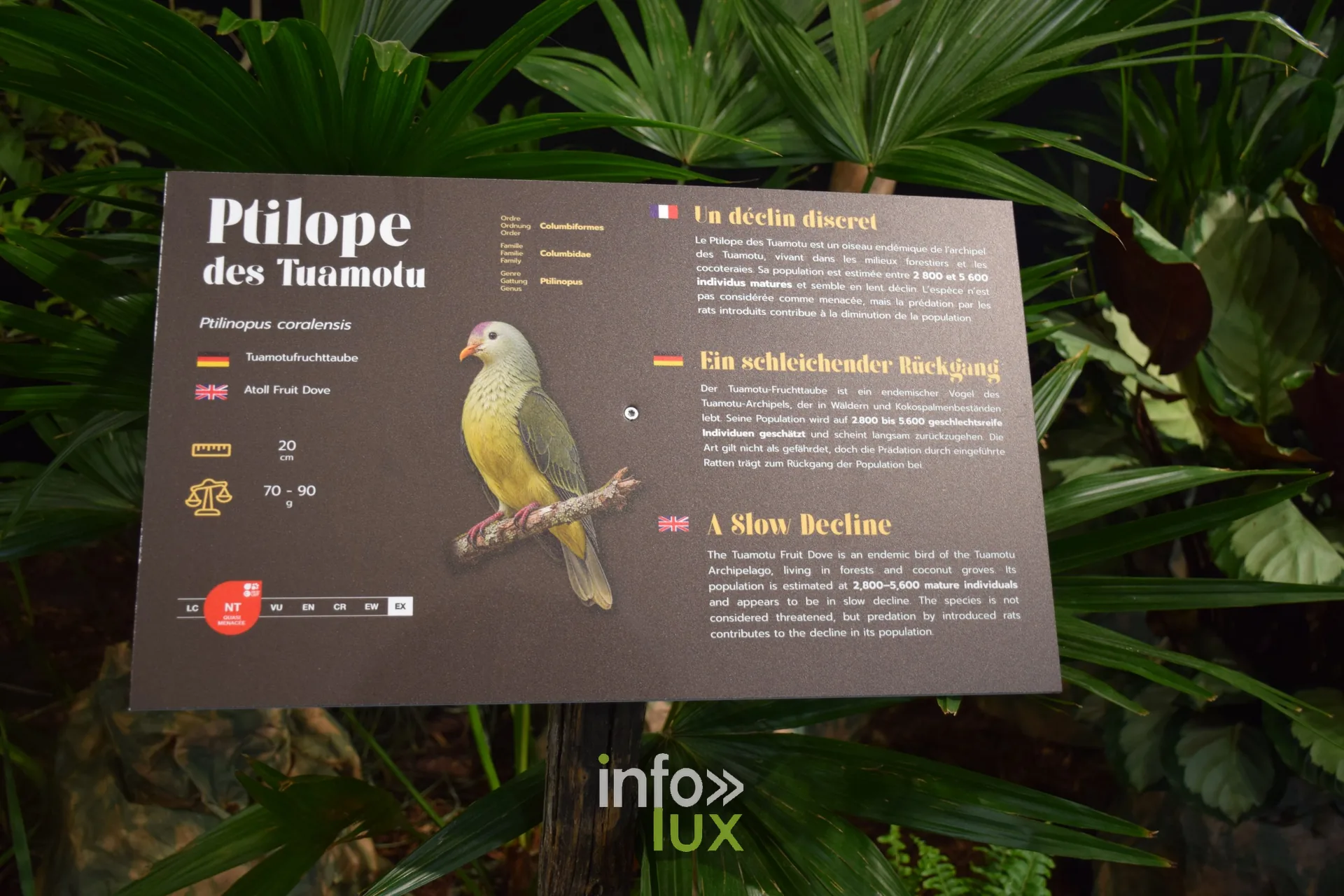 Panneau du Ptilope des Tuamotu, Foire internationale de Metz 2026