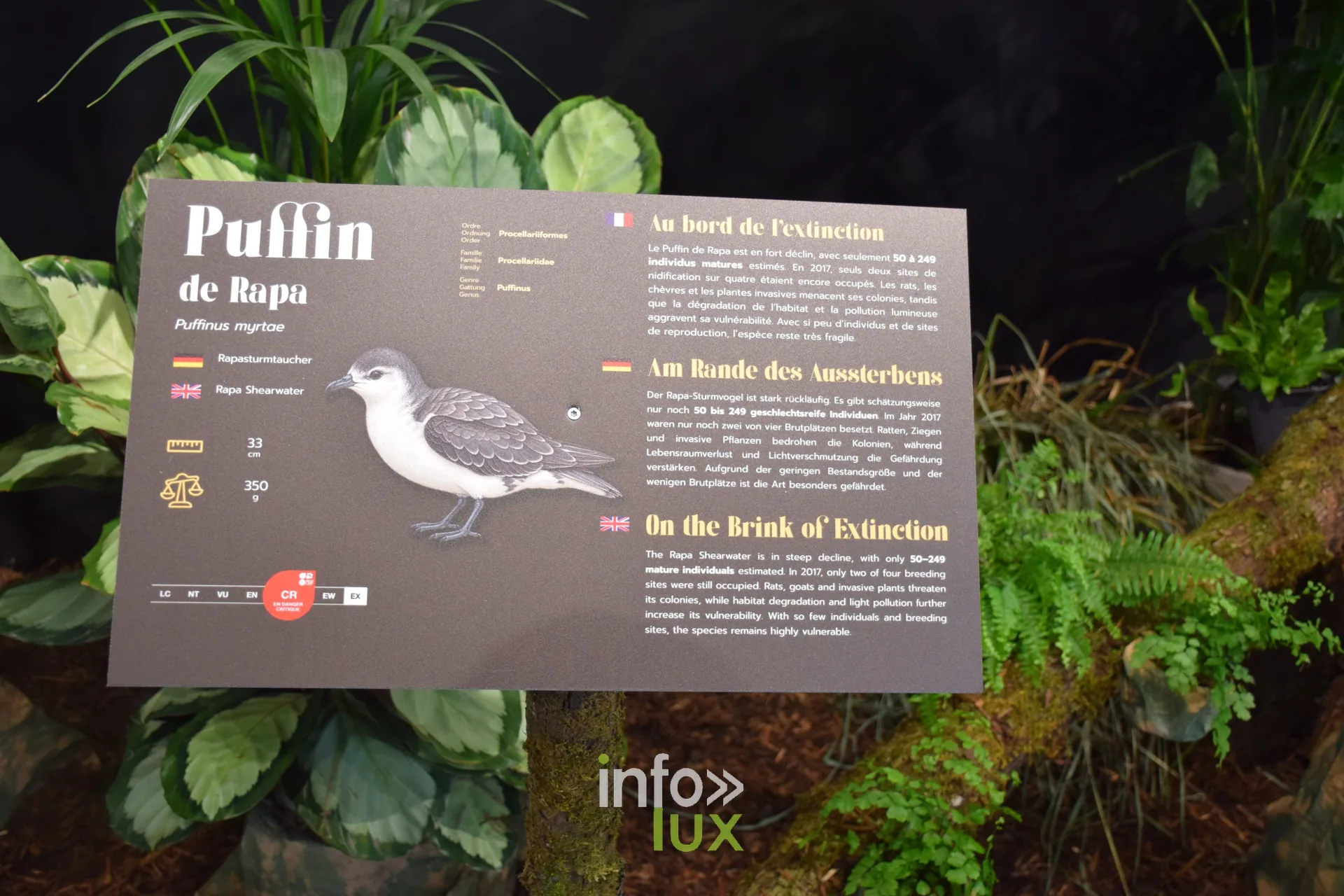 Panneau du Puffin de Rapa, Foire internationale de Metz 2026