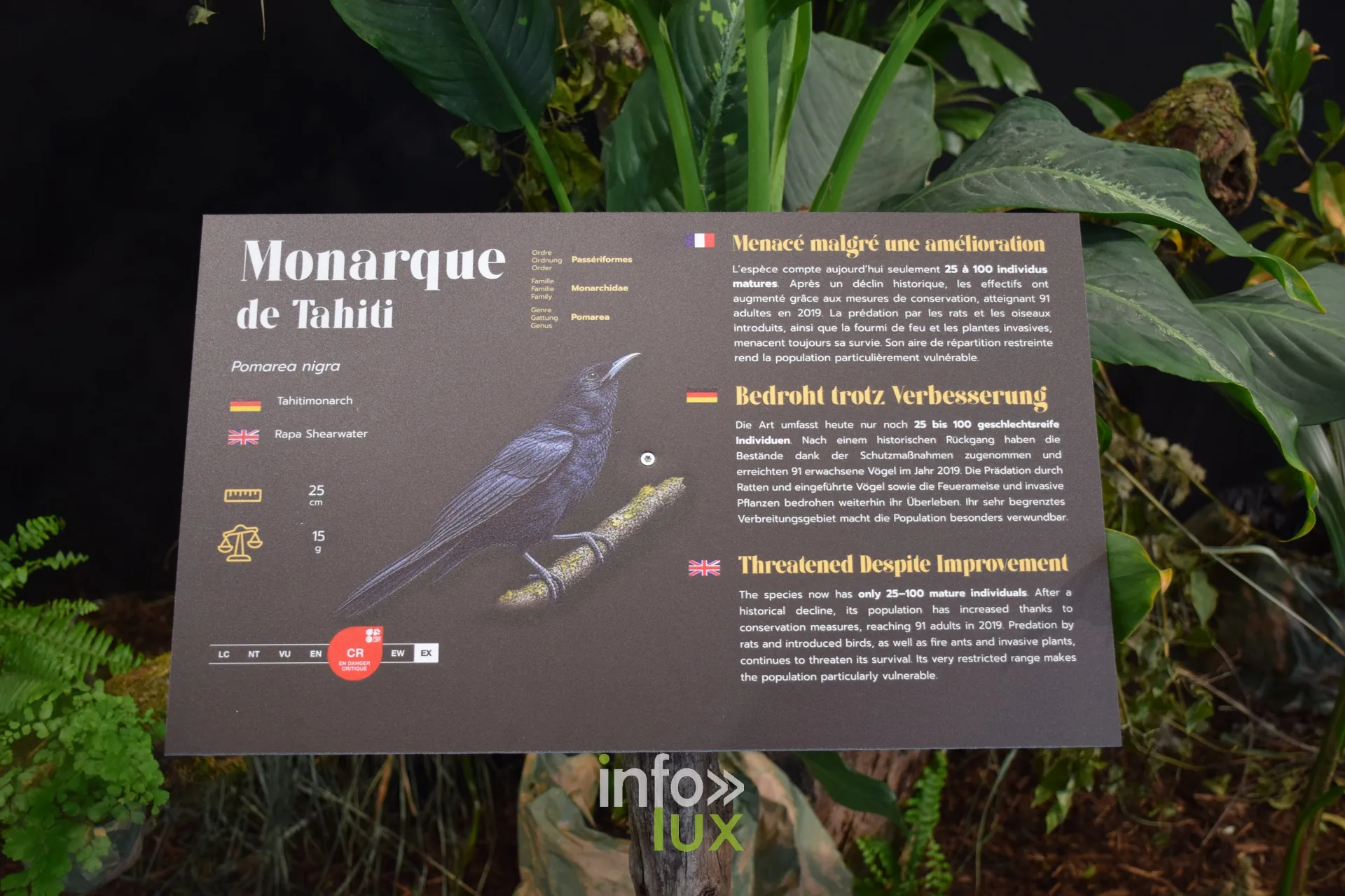 Panneau du Monarque de Tahiti, Foire internationale de Metz 2026