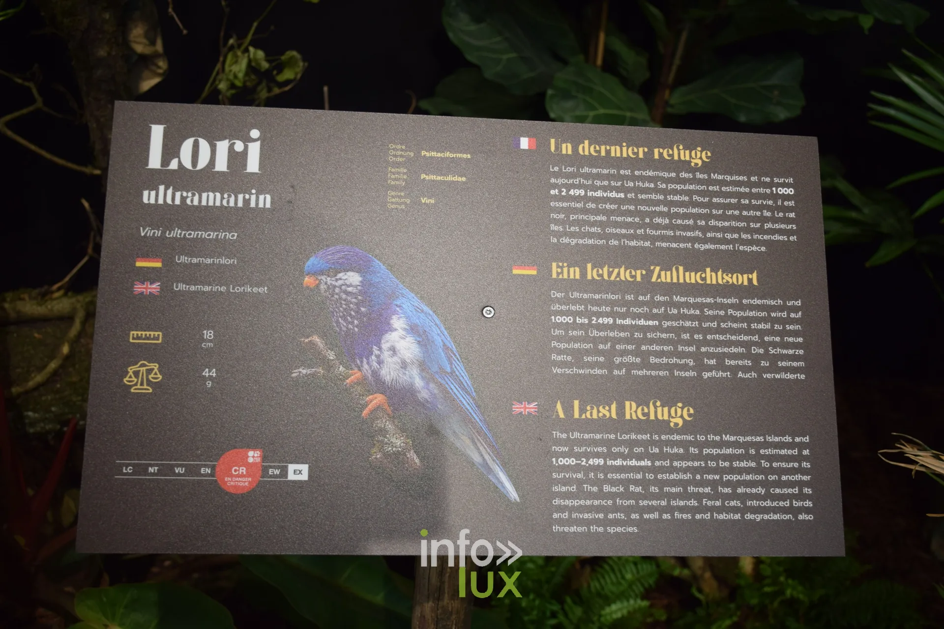 Panneau du Lori ultramarin, Foire internationale de Metz 2026