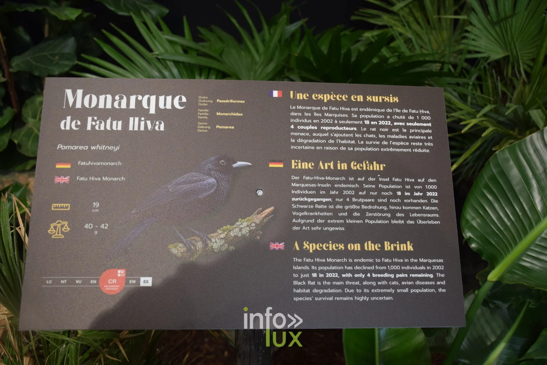 Panneau du Monarque de Fatu Hiva, Foire internationale de Metz 2026