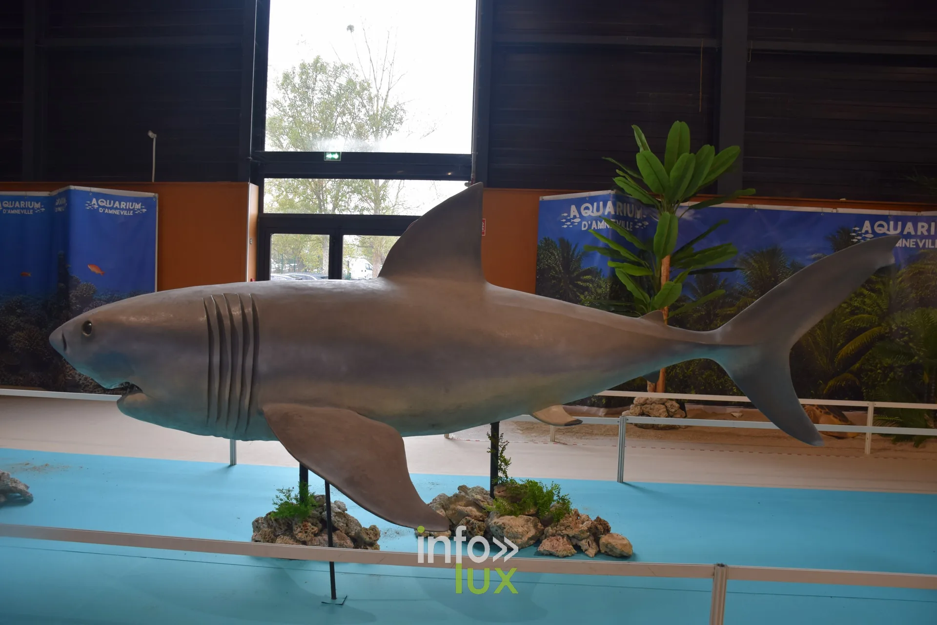 Réplique de requin dans l’espace de l’Aquarium d’Amnéville, Foire internationale de Metz 2026