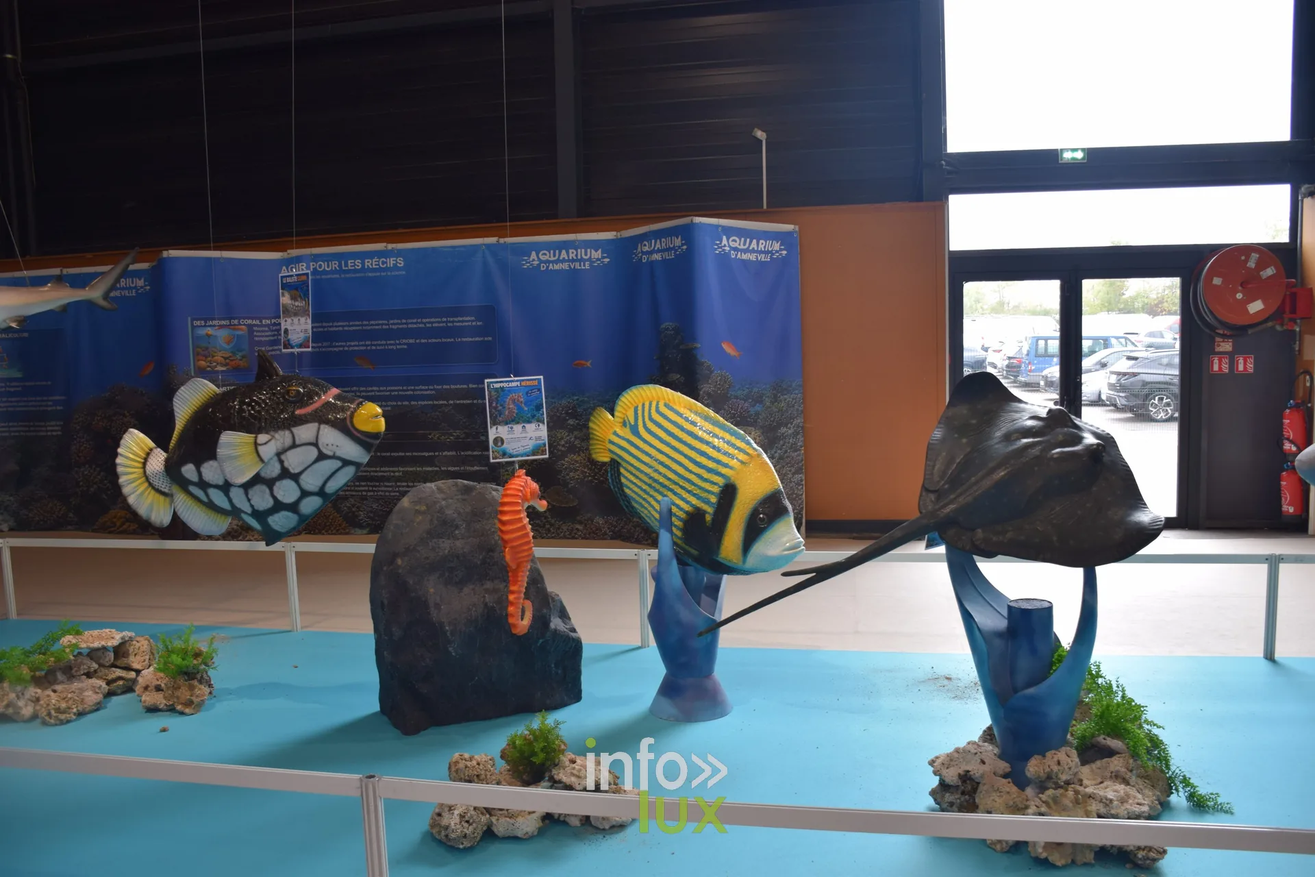 Répliques de poissons tropicaux et de raie, Foire internationale de Metz 2026