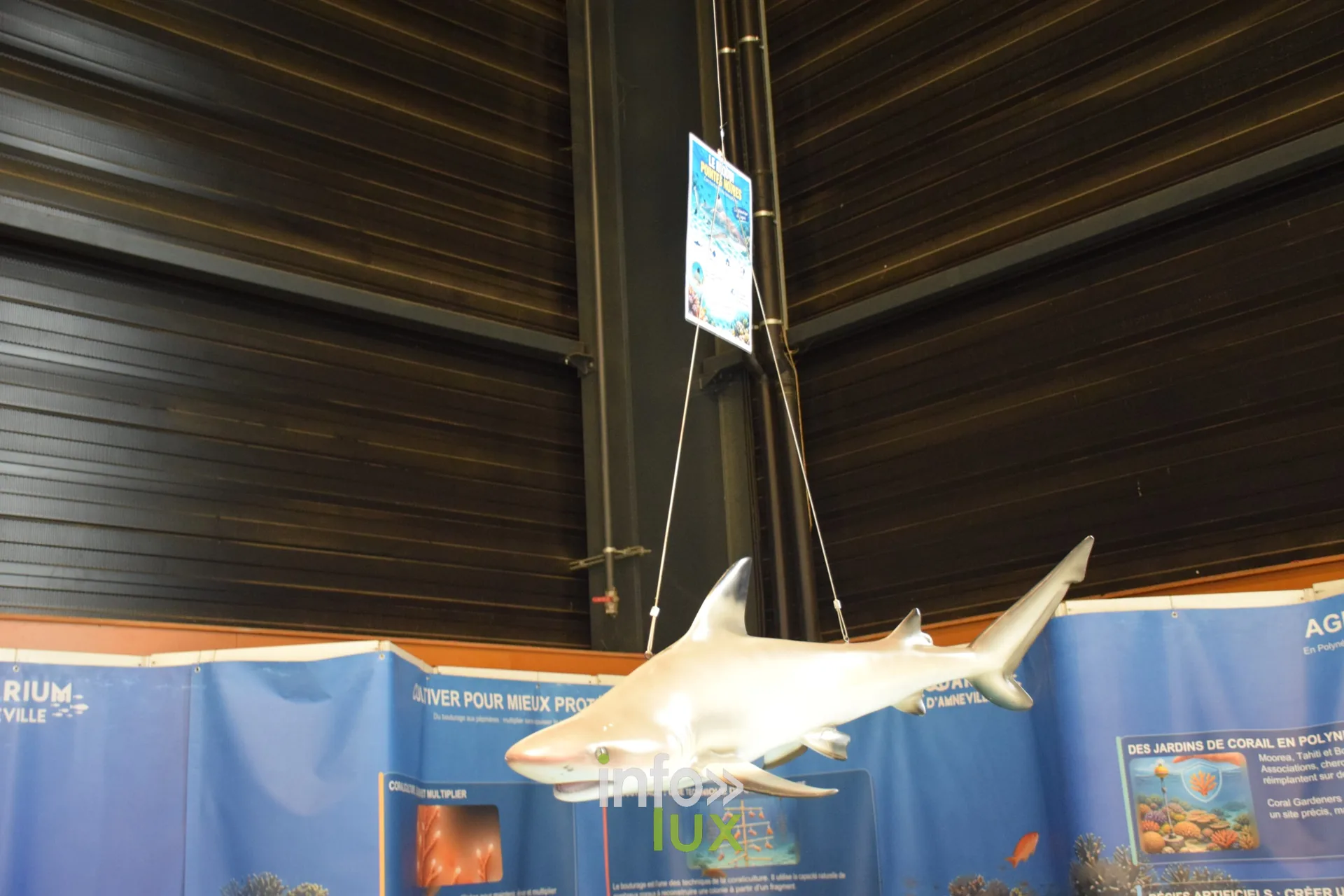 Réplique de requin suspendue, Foire internationale de Metz 2026