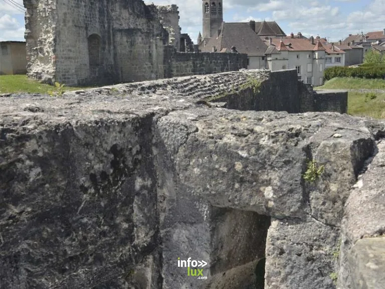 Forteresse du vieux Chatel-sur-Moselle (Châtel-sur-Moselle)