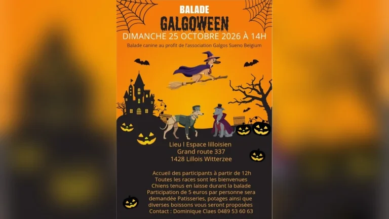 Galgoween 2026 au profit de Galgos Sueno Belgium (25 octobre), Lillois