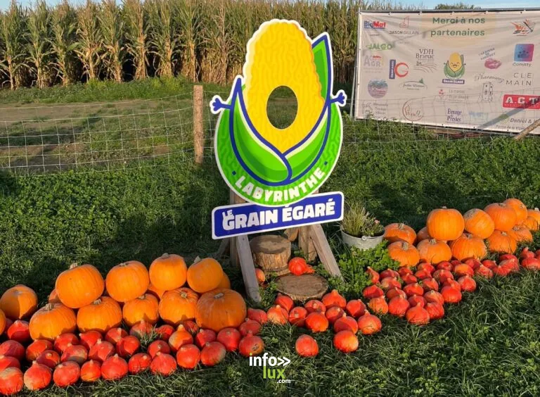 Walcourt > Jeune public > Grande chasse aux bonbons au Grain égaré 2026
