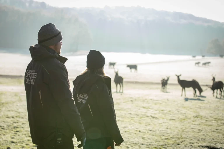 Deux soigneurs du Domaine des Grottes de Han observent un troupeau dans la plaine givrée du Parc animalier