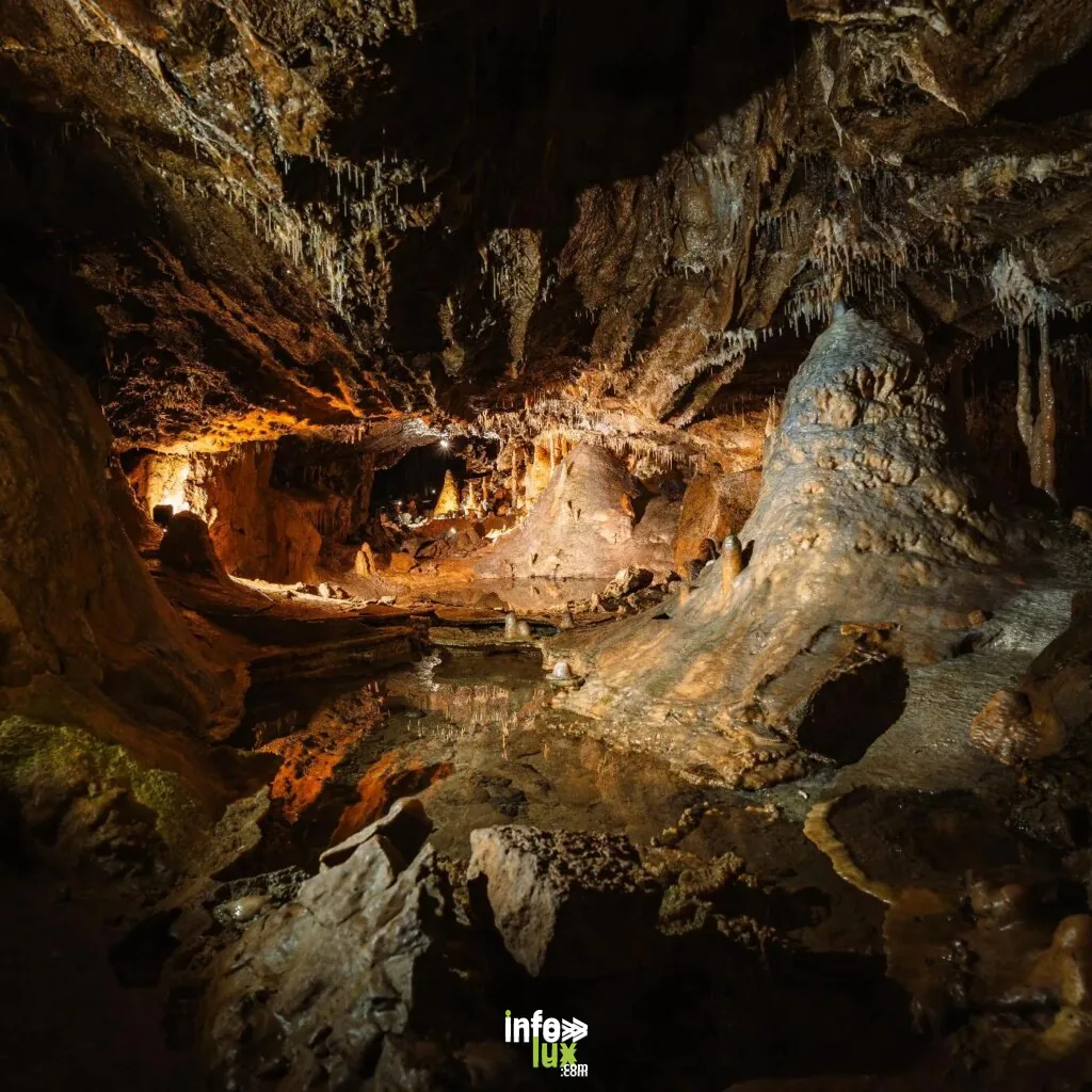 Grottes de Hotton (Hotton)