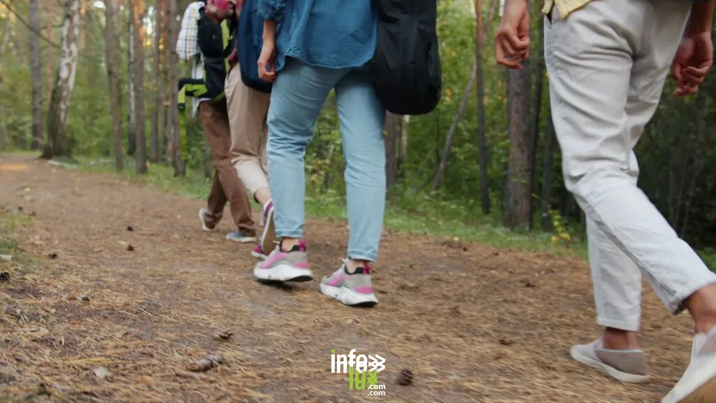Randonnée décontractée en groupe à travers une forêt, parfaite pour les passionnés d'activités en plein air.