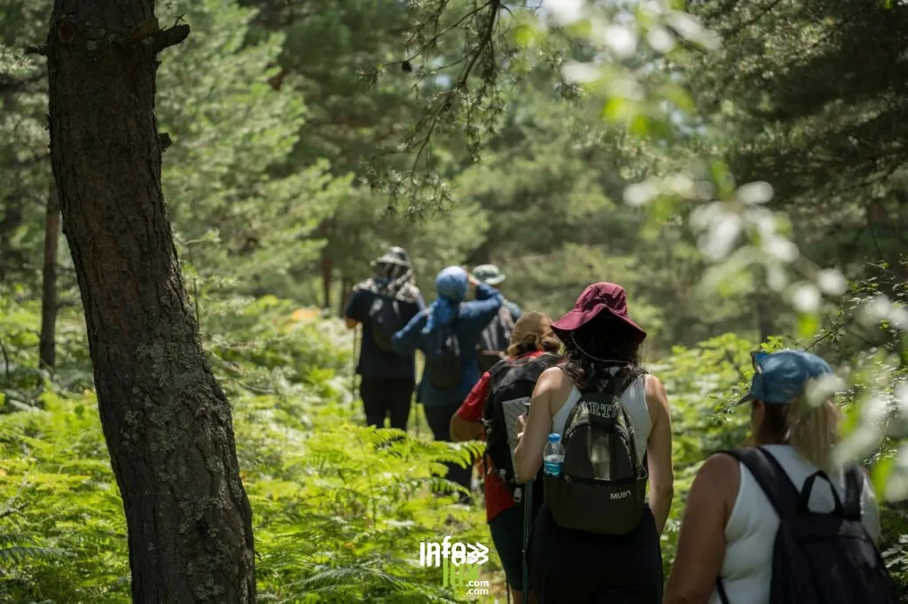 Un groupe de personnes en randonnée dans une forêt verdoyante, profitant d'une aventure estivale.