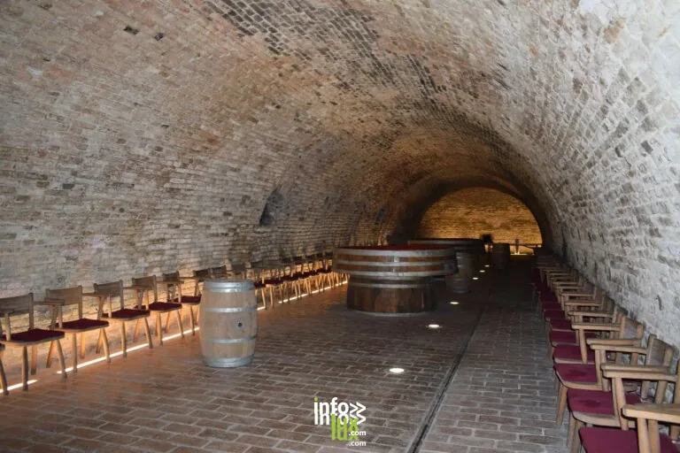 Zellenberg > Dégustation > Diner insolite Comme une drosophile au Grand Cru Froehn… au Domaine Jean BECKER