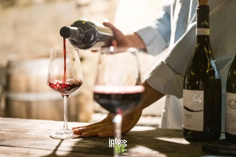 Épernay > Dégustation > Vignobles en Scène : Dégustation Quiz avec Art Dit Vin