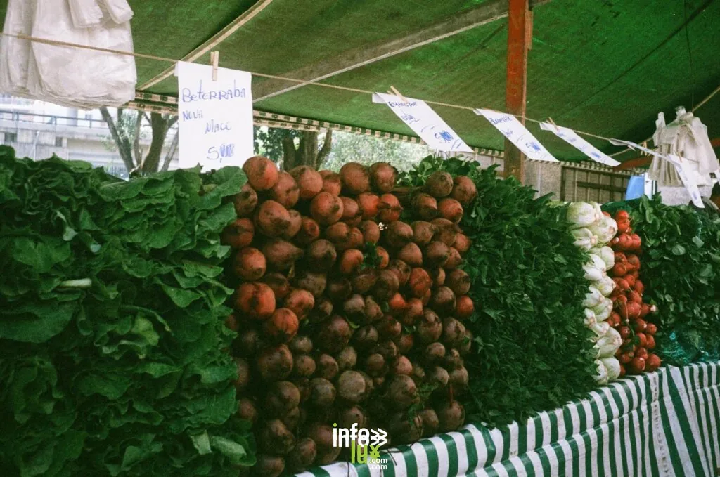 Étalage coloré de betteraves, de légumes verts et de légumes sur un marché de São Paulo.