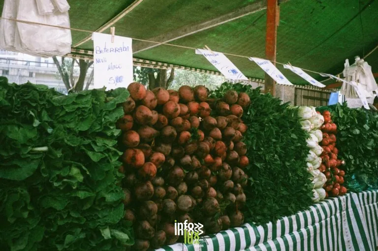 Noirlieu > Marché > Porte ouvertes aux Pépinières Defontaine