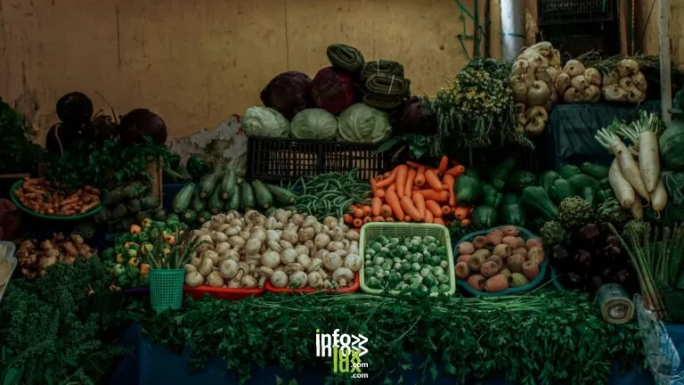 Sélestat > Marché > Salon Européen des minéraux – Espace bien-être