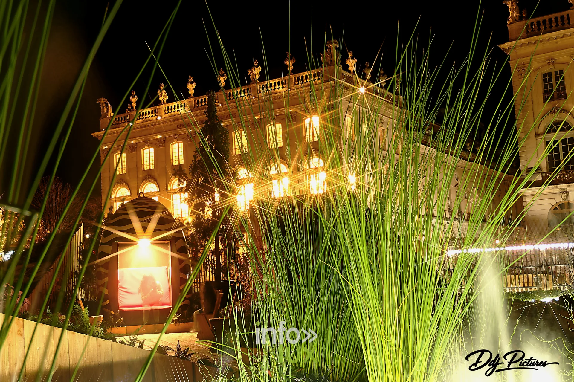 Jardin éphémère « Gallé ou l’éclat de vert », place Stanislas à Nancy, 29 octobre 2026 : graminées et jet d’eau dans le jardin (photo Éric Didierjean)