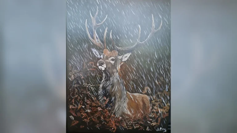 Un cerf peint par Anne Bay, peintre à Saint-Hubert