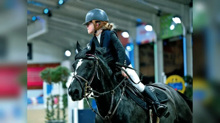 Libramont-Chevigny > Sport > Grand Prix 1,25 m du Jumping Indoor Libramont