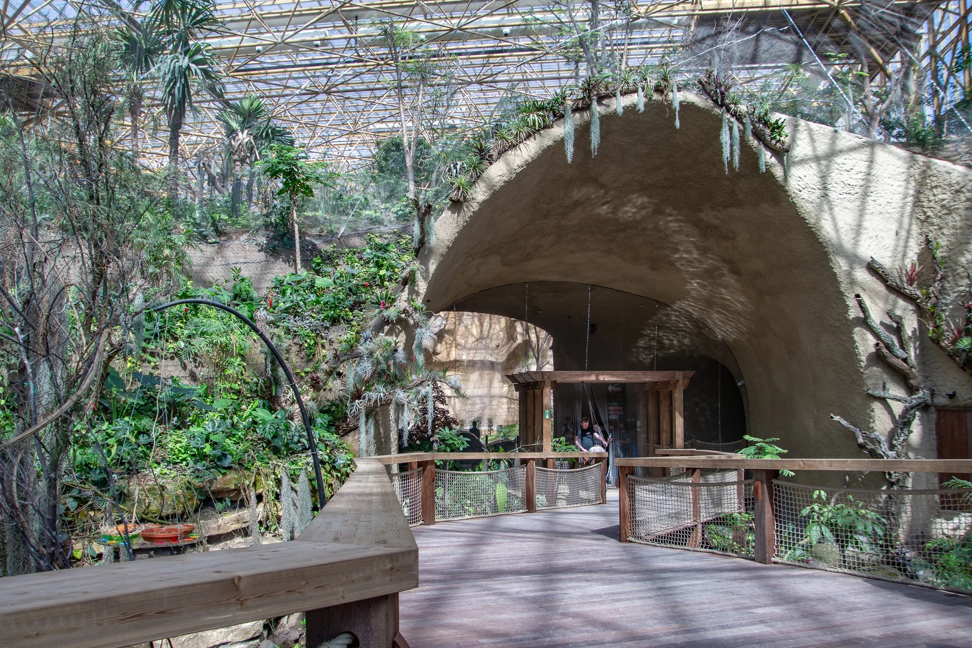 Passerelle et végétation tropicale sous la verrière d’un jardin couvert de Pairi Daiza