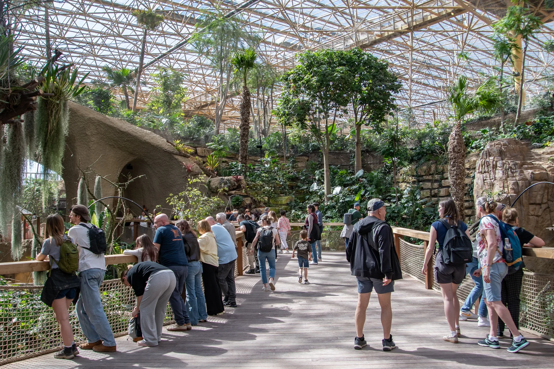 Visiteurs sur la passerelle d’un jardin tropical couvert de Pairi Daiza