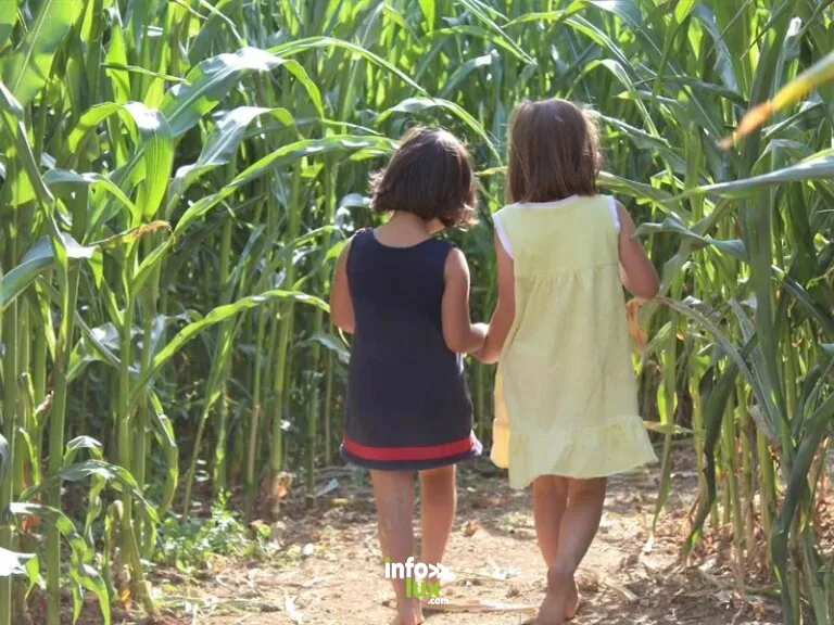 Le long de la frontière belge en famille : 3 jours d’activités avec les enfants et le budget (2026)