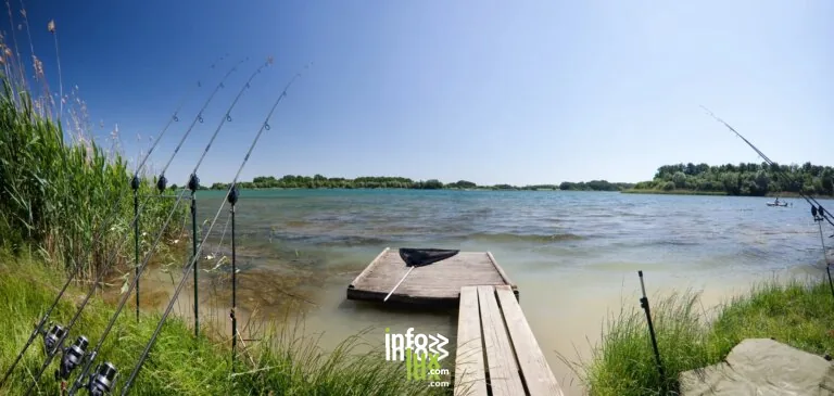 Week-end à Troyes et autour des grands lacs à petit budget : programme de 2 jours pour environ 181 € (2026)