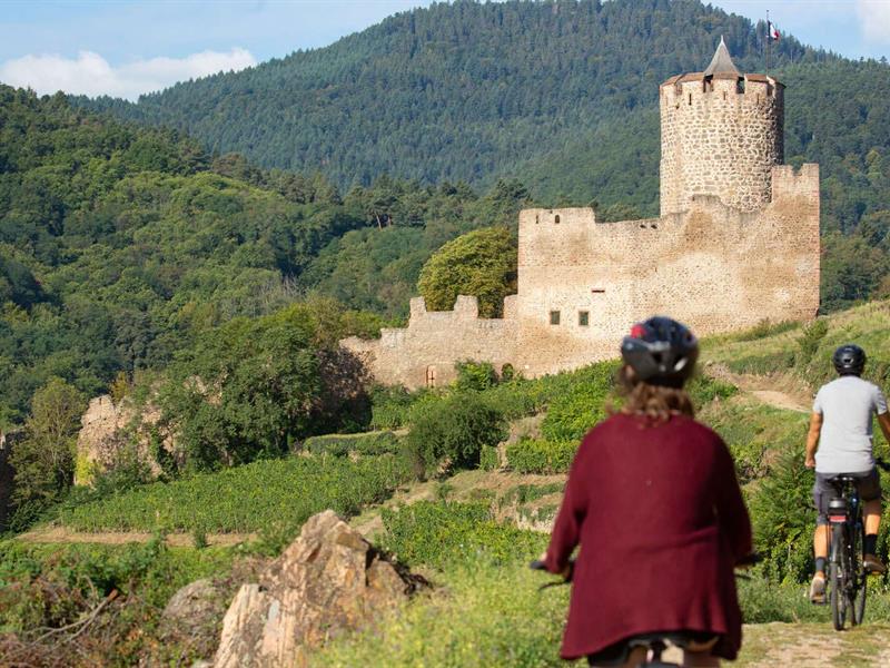 Le château de Kaysersberg Le château de Kaysersberg
