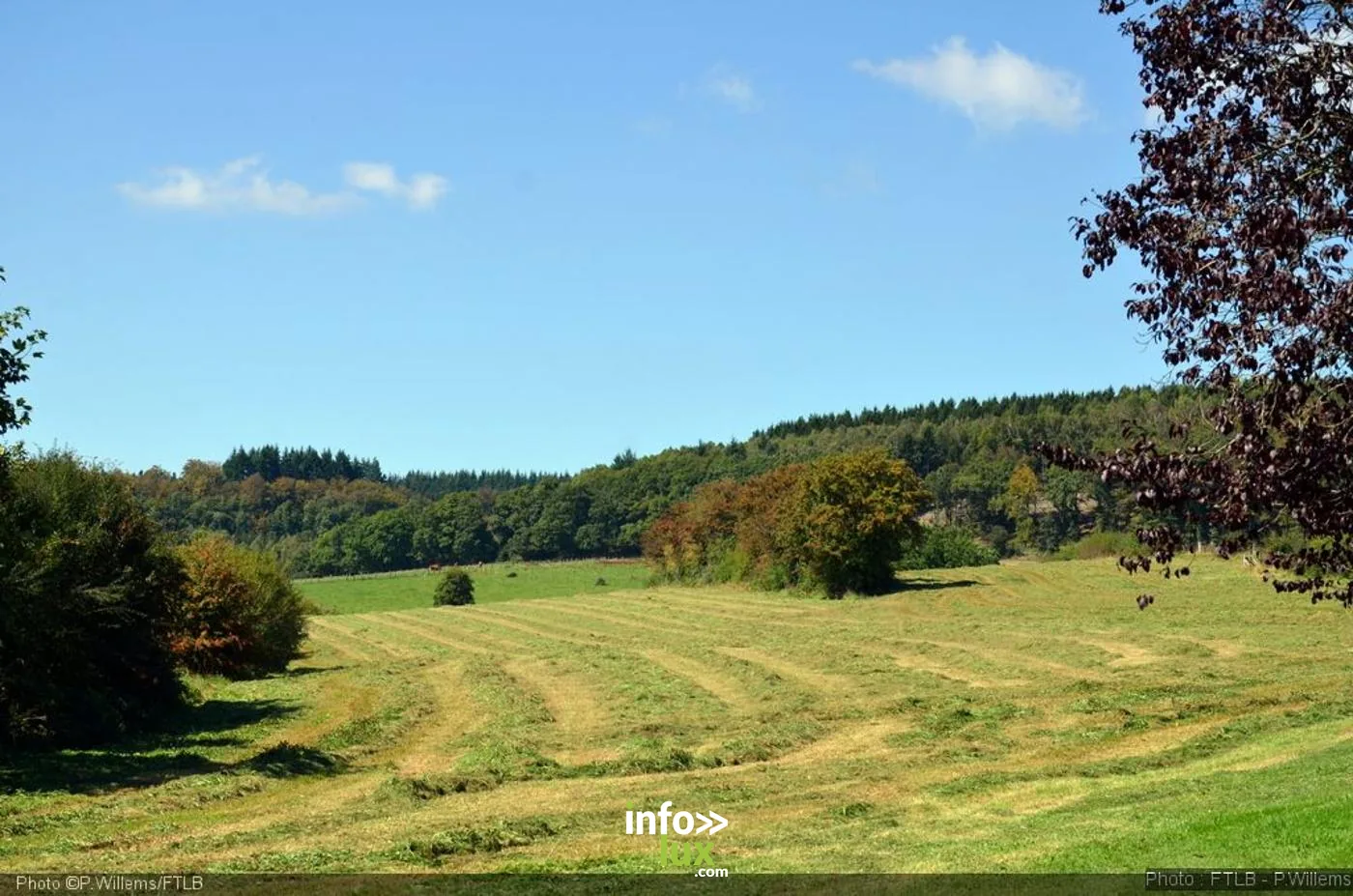 Le Parc Naturel de la vallée de l'Attert (Attert) Le Parc Naturel de la vallée de l'Attert (Attert)