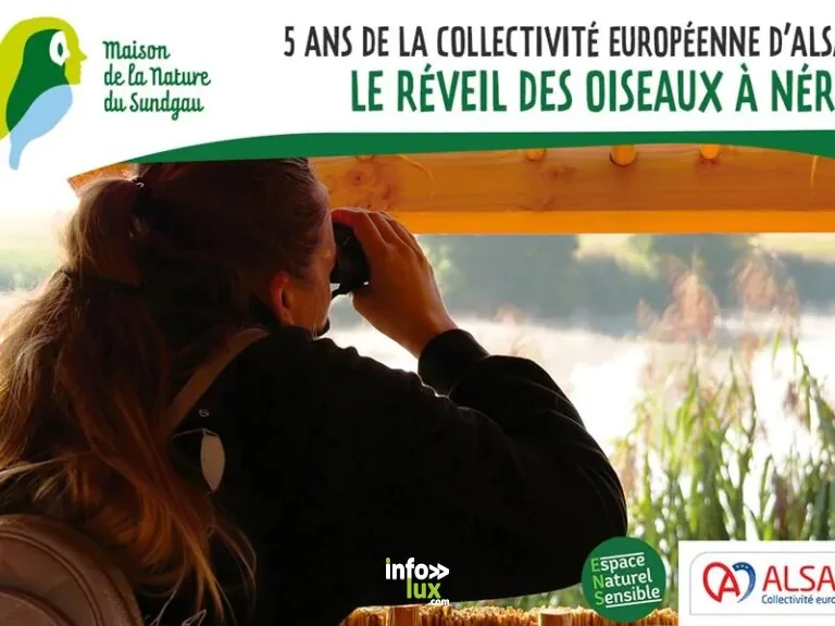 Altenach > Famille > Le réveil des oiseaux à Nérac – 5 ans de la Collectivité européenne d’Alsace