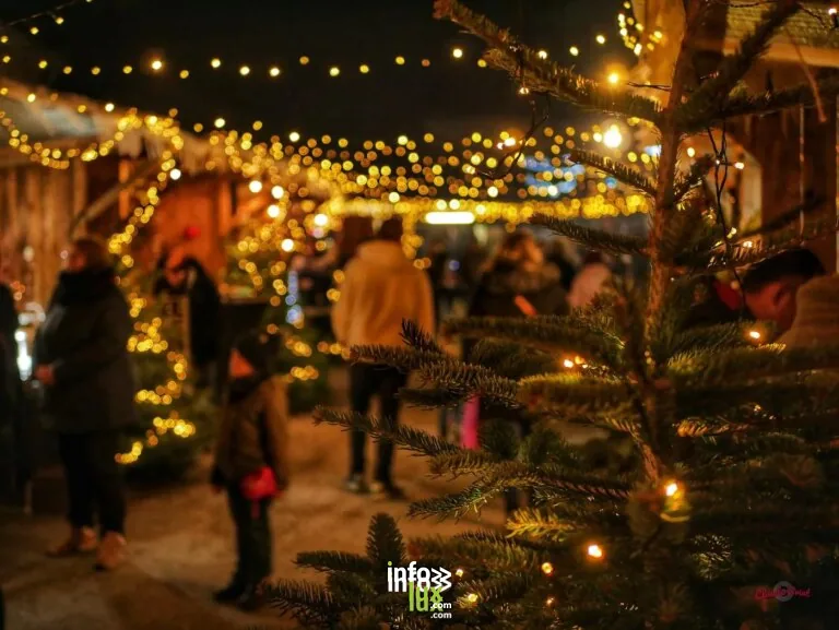 Bièvre > Marché de Noël > Les Féeries de Gros-Fays, marché de Noël autour du lavoir 2026