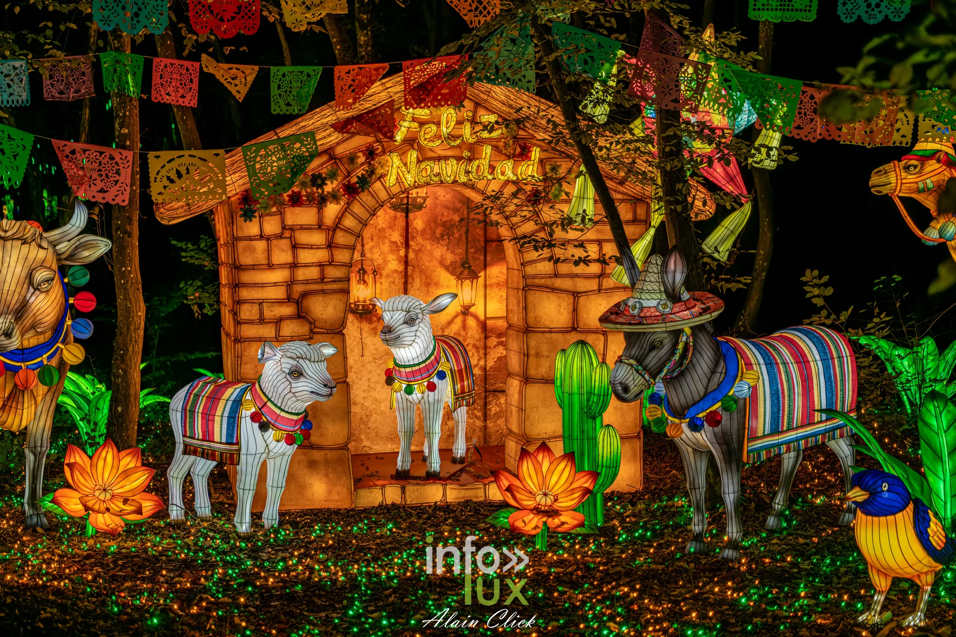 Luminescences 2026-2027 au Zoo d’Amnéville : décor « Feliz Navidad » avec âne et moutons en lanternes (photo Alain Click)
