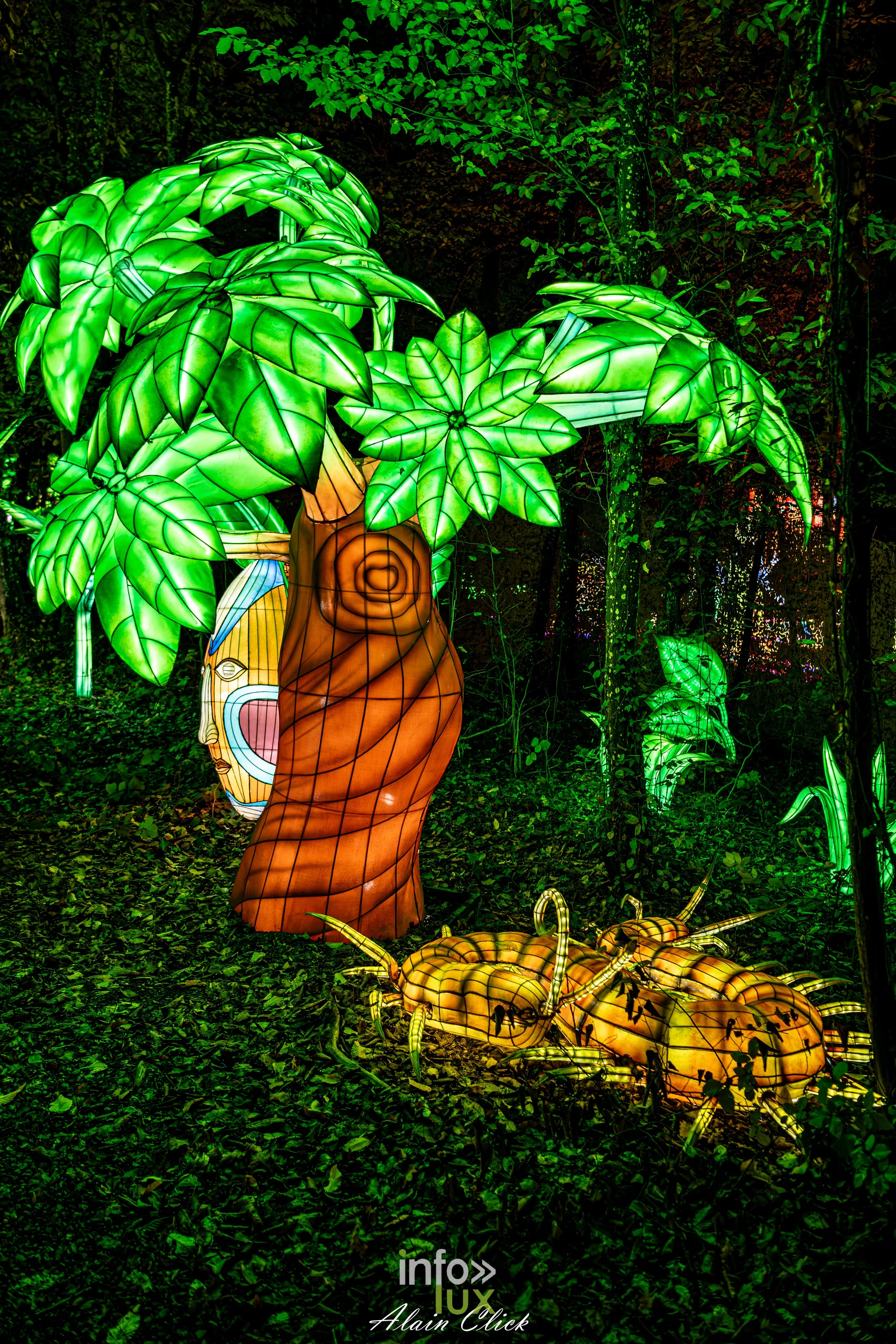 Luminescences 2026-2027 au Zoo d’Amnéville : lanternes dans la végétation de la forêt du zoo (photo Alain Click)