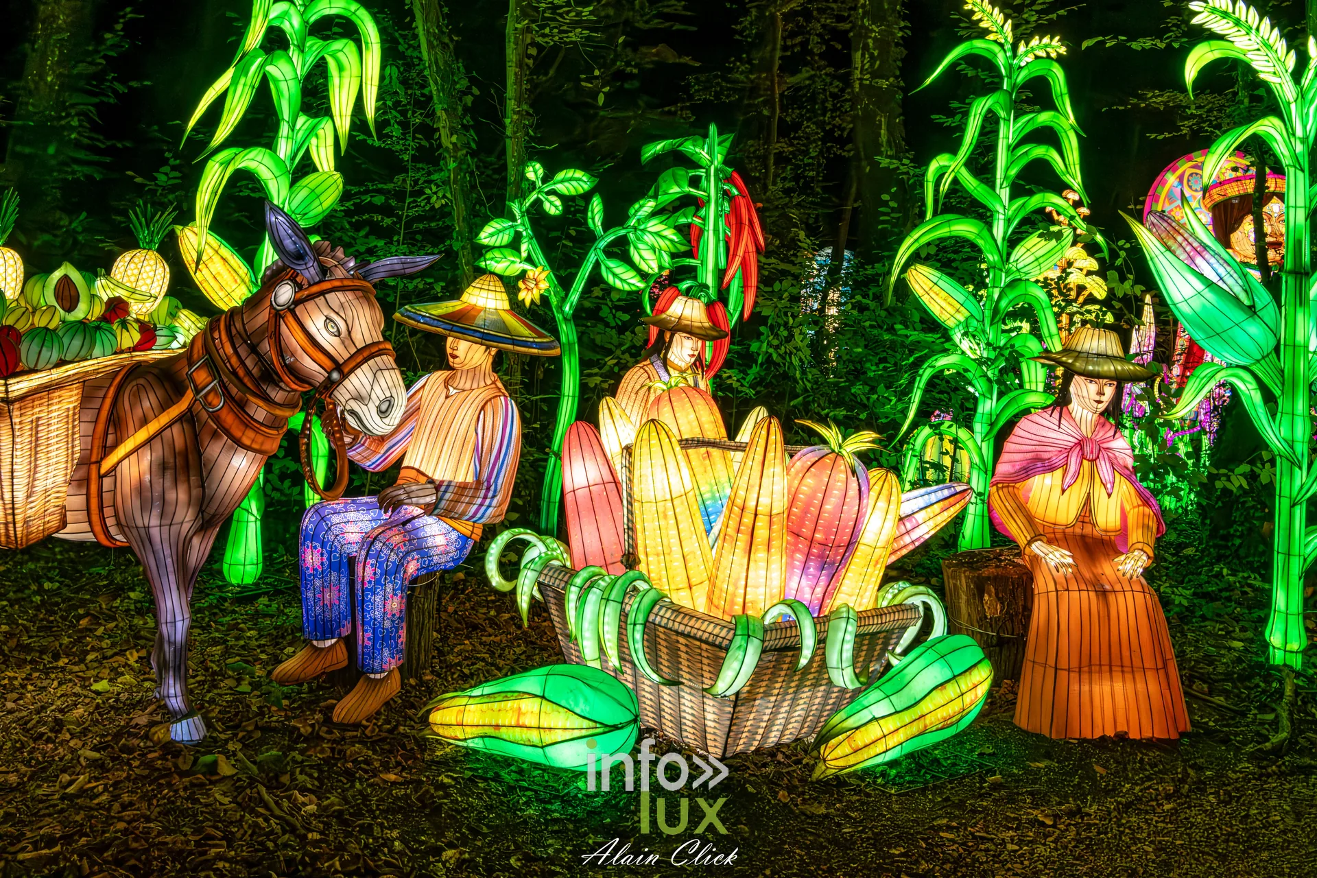 Luminescences 2026-2027 au Zoo d’Amnéville : âne, paysans et épis de maïs en lanternes (photo Alain Click)