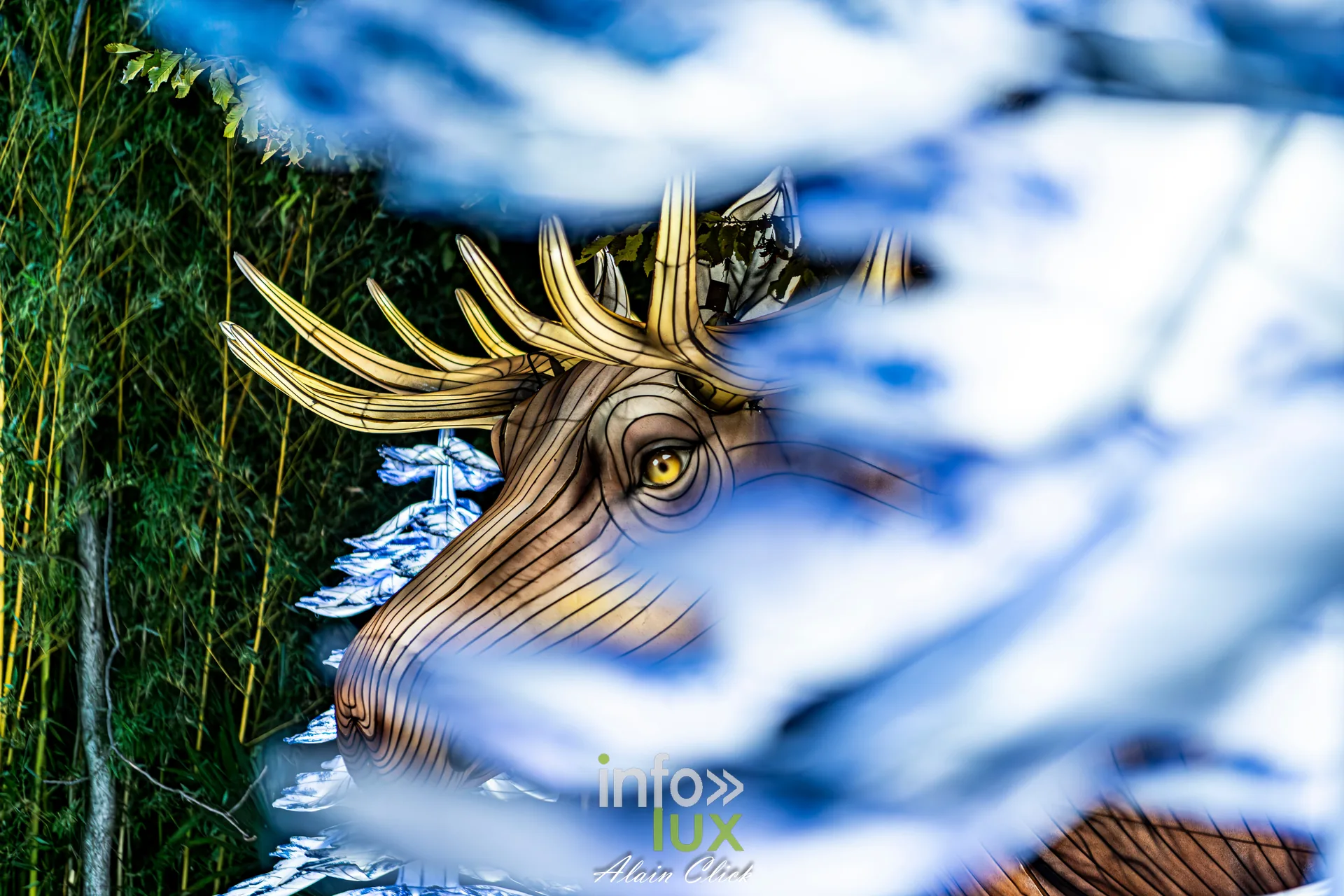 Luminescences 2026-2027 au Zoo d’Amnéville : tête de renne lumineuse, univers de Noël (photo Alain Click)