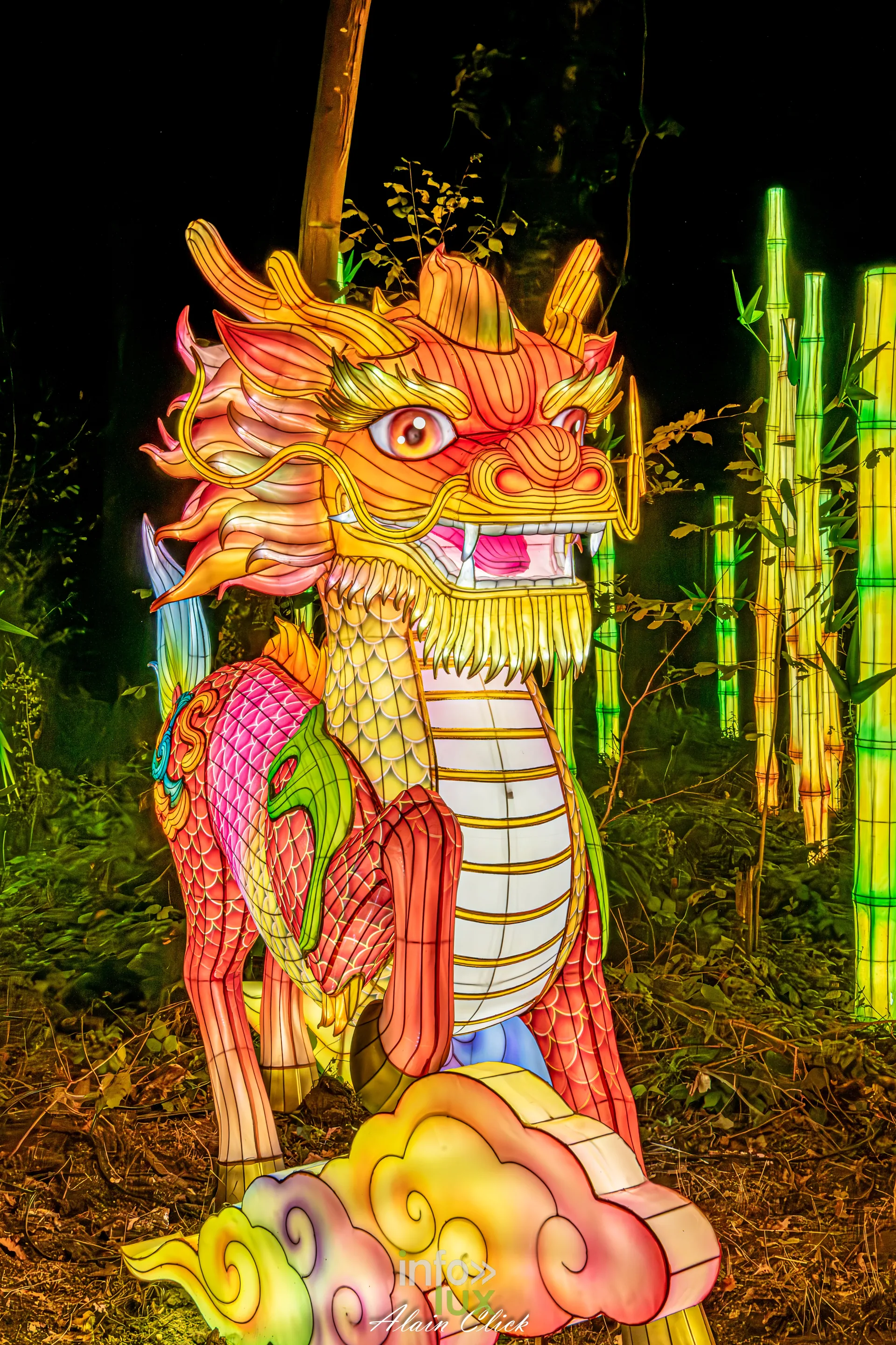 Luminescences 2026-2027 au Zoo d’Amnéville : dragon de style chinois en lanterne (photo Alain Click)