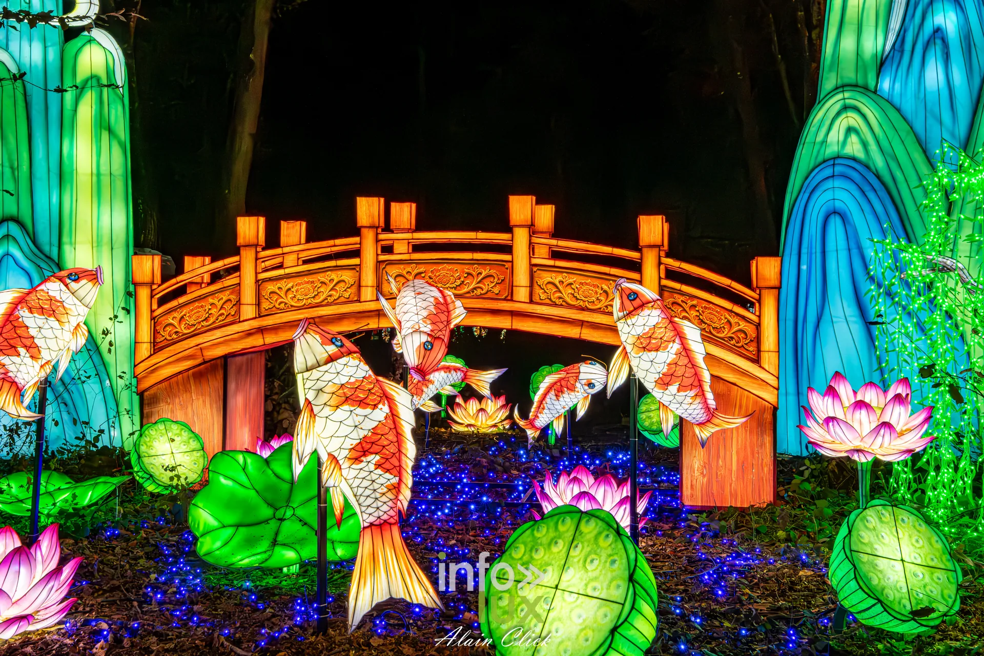Luminescences 2026-2027 au Zoo d’Amnéville : pont et carpes koï lumineux (photo Alain Click)