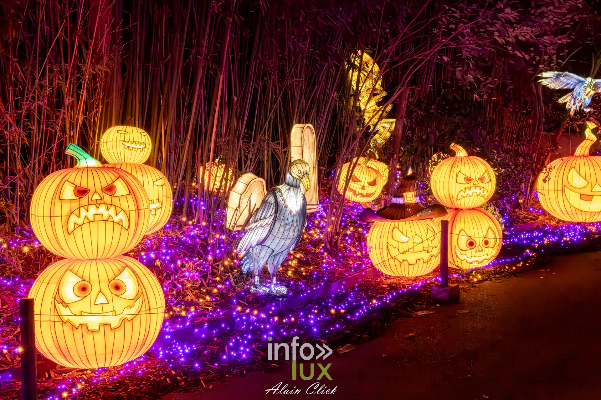 Luminescences 2026-2027 au Zoo d’Amnéville : citrouilles lumineuses de l’univers d’Halloween (photo Alain Click)