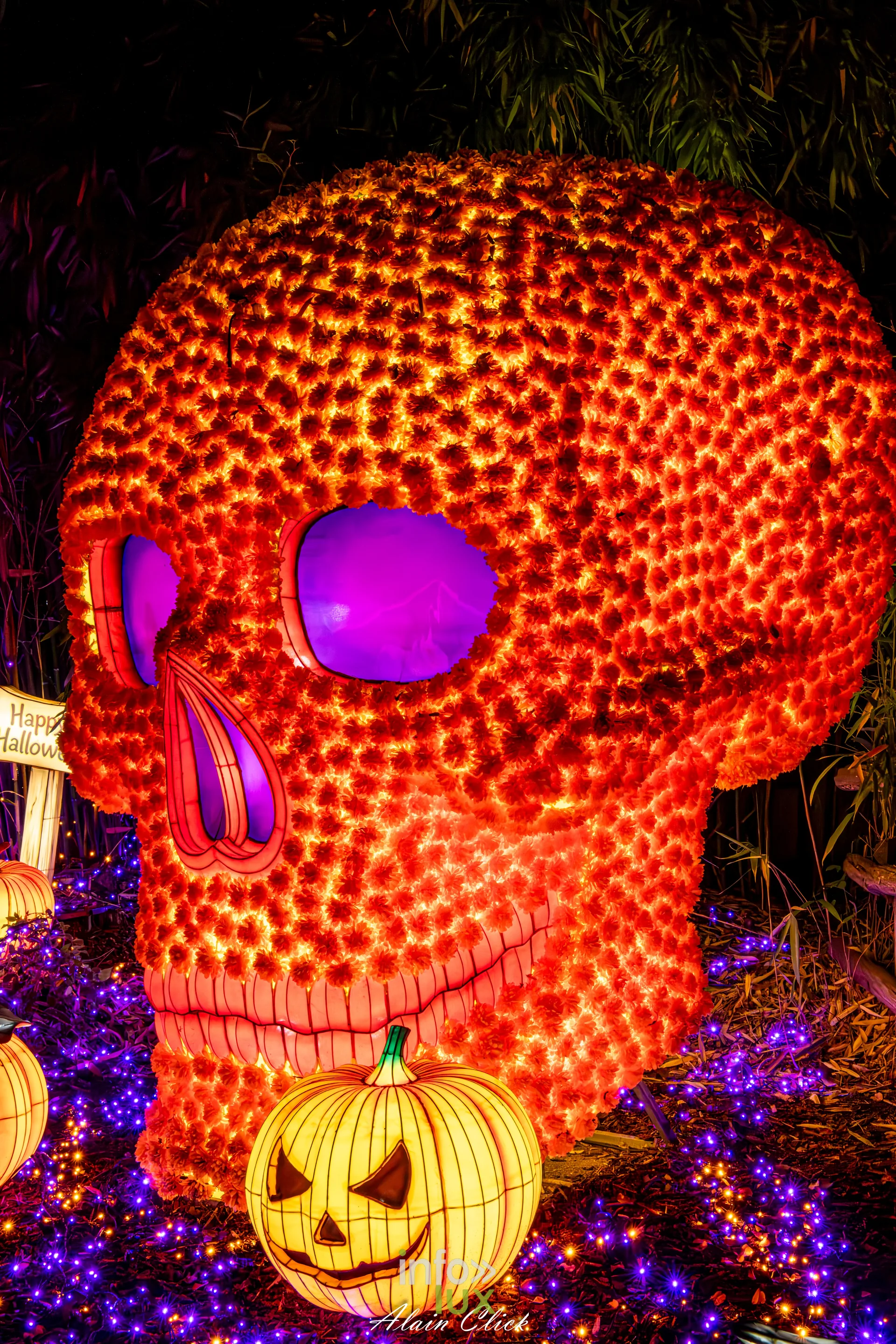 Luminescences 2026-2027 au Zoo d’Amnéville : crâne géant et citrouille, univers d’Halloween (photo Alain Click)