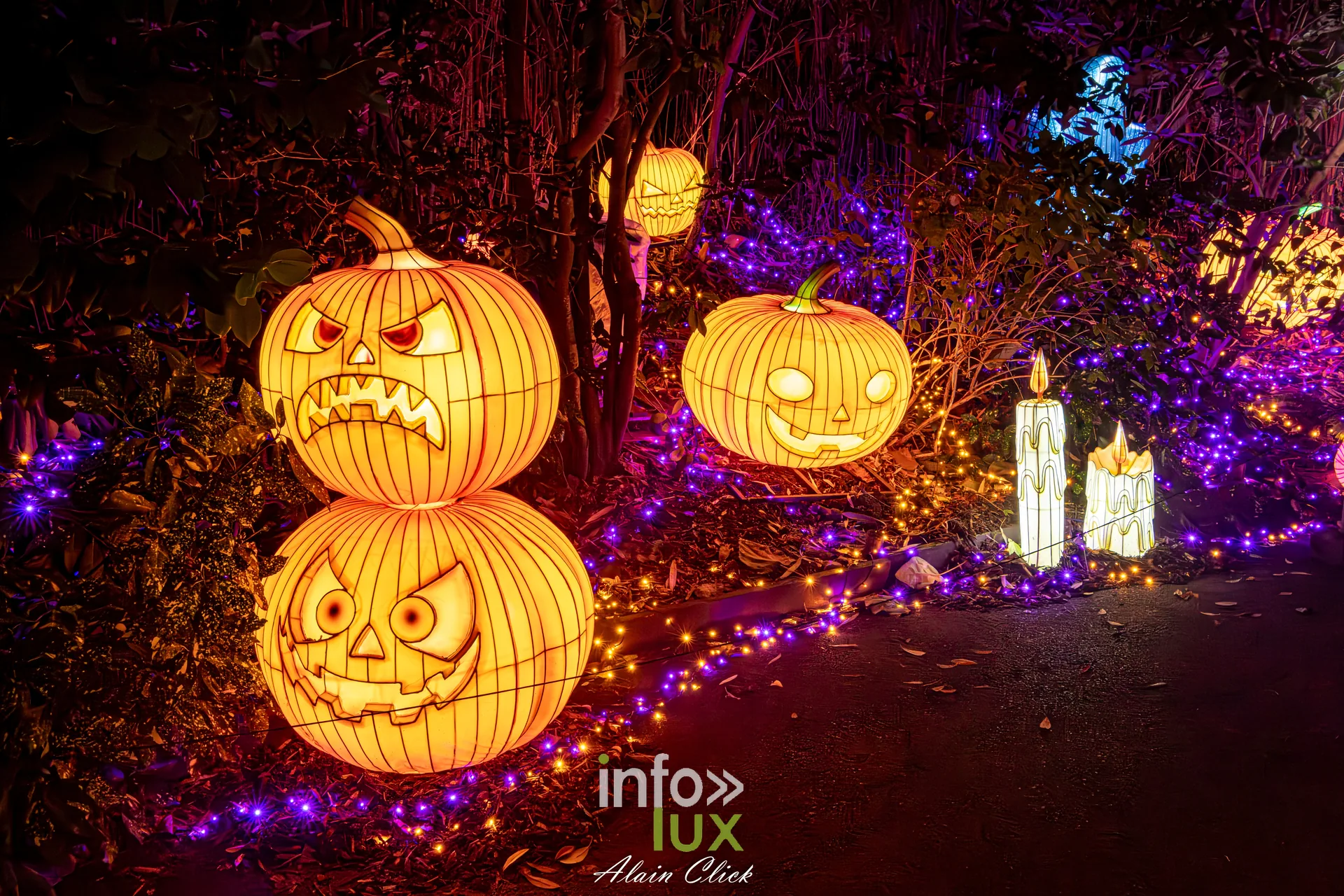 Luminescences 2026-2027 au Zoo d’Amnéville : citrouilles lumineuses de l’univers d’Halloween (photo Alain Click)