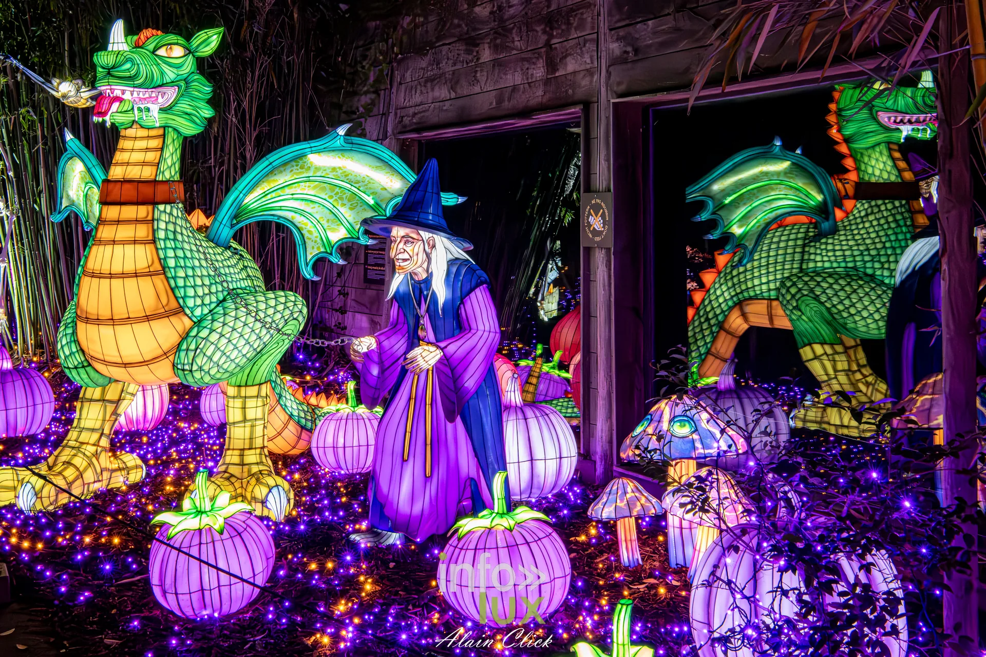 Luminescences 2026-2027 au Zoo d’Amnéville : dragons et personnage au chapeau pointu, univers d’Halloween (photo Alain Click)