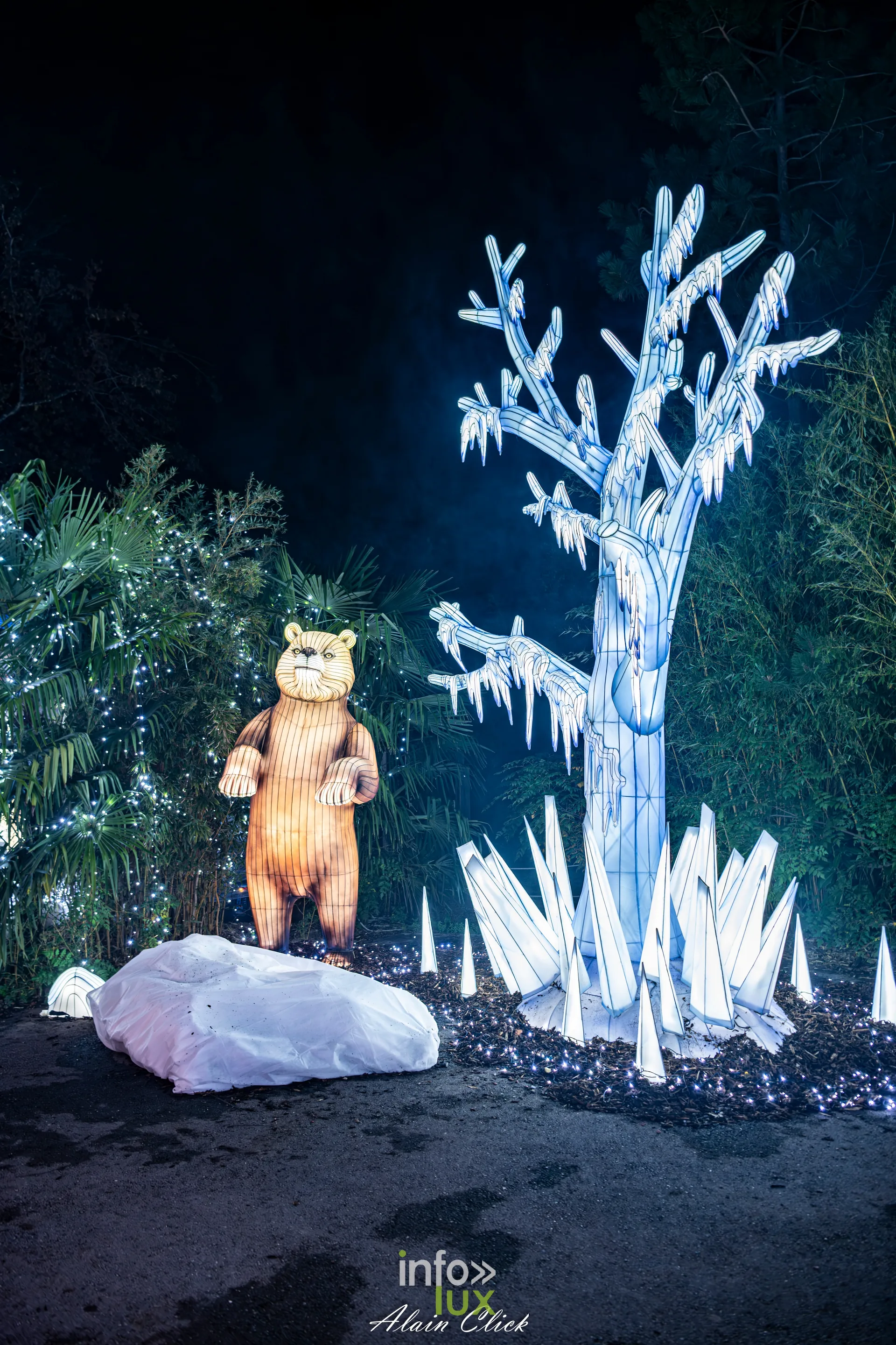 Luminescences 2026-2027 au Zoo d’Amnéville : un ours et un arbre givré en lanternes, univers de Noël (photo Alain Click)