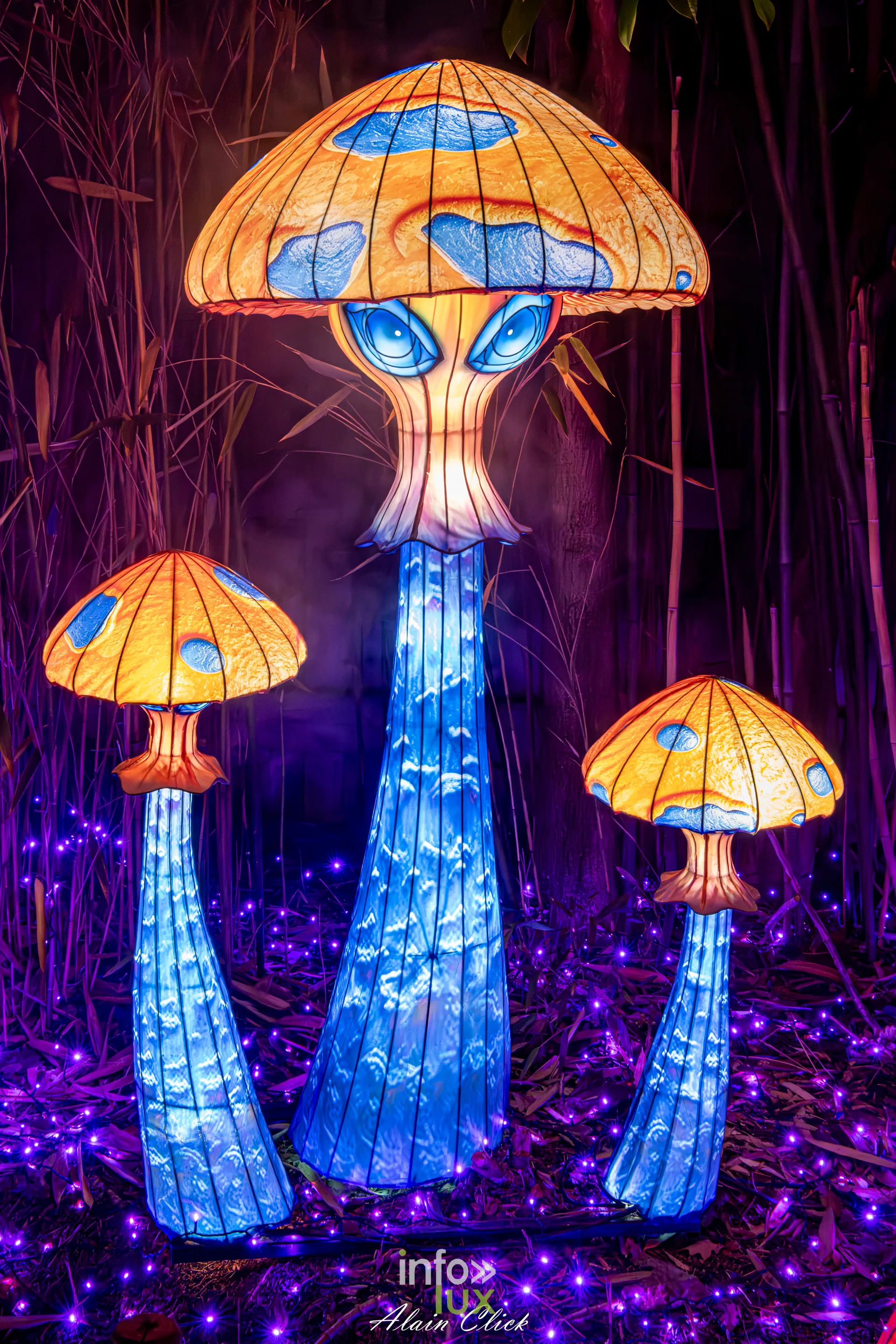 Luminescences 2026-2027 au Zoo d’Amnéville : champignons lumineux de l’univers d’Halloween (photo Alain Click)