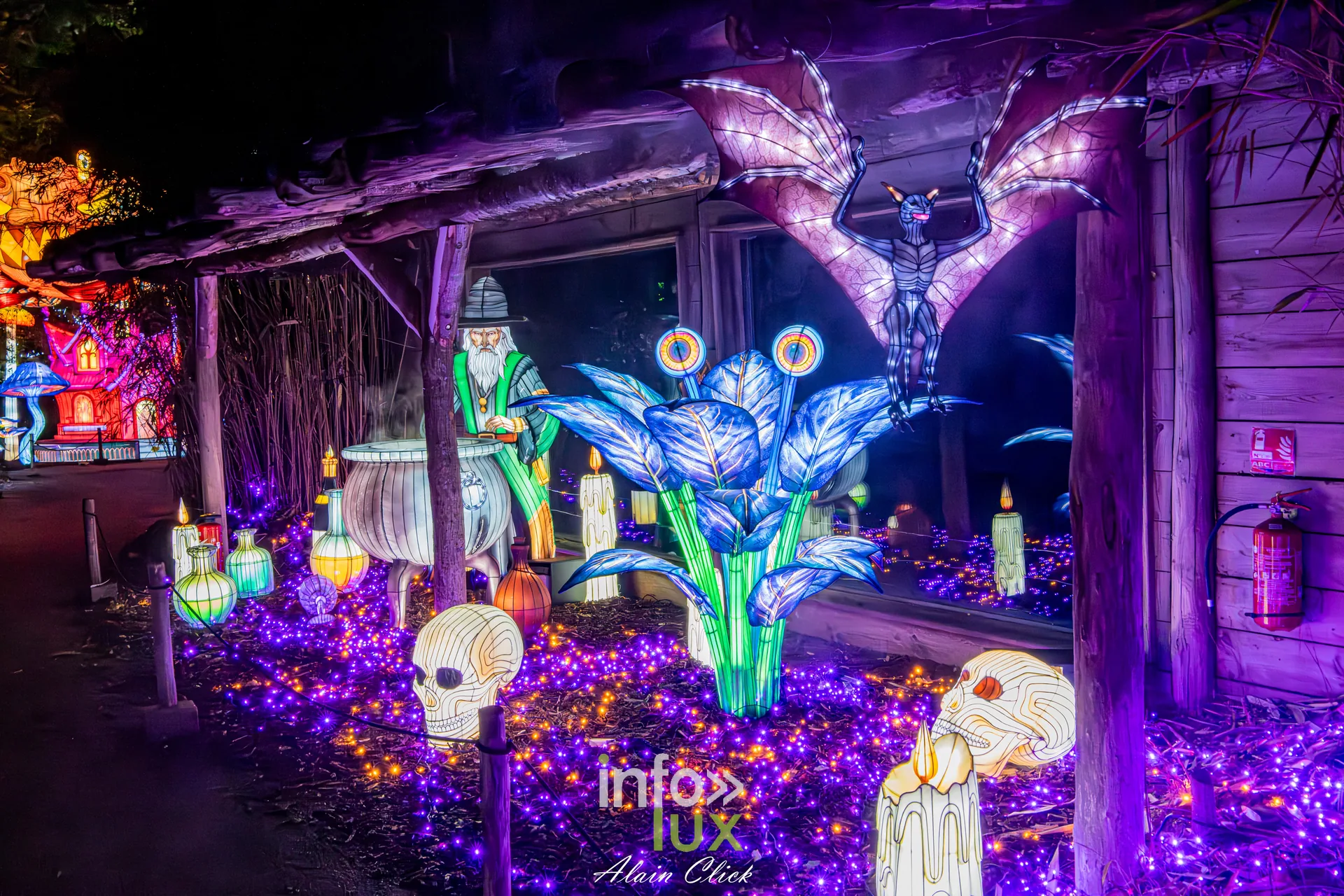 Luminescences 2026-2027 au Zoo d’Amnéville : chauve-souris et crânes, univers d’Halloween (photo Alain Click)