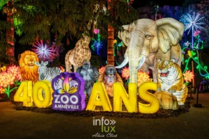 Zoo d’Amnéville : Une 5e édition spectaculaire de Luminescences pour célébrer ses 40 ans (photos)