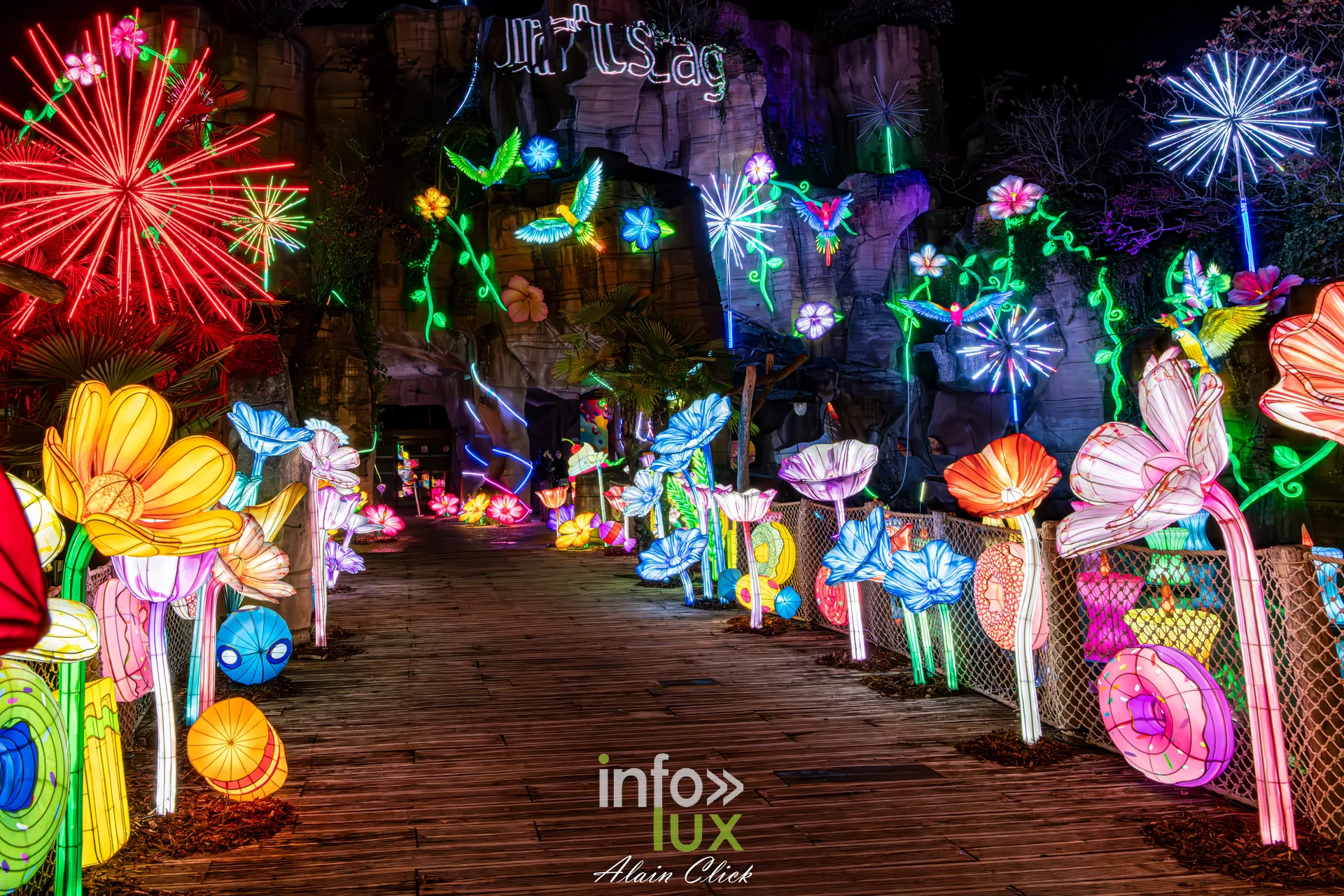 Luminescences 2026-2027 au Zoo d’Amnéville : allée bordée de fleurs lumineuses (photo Alain Click)