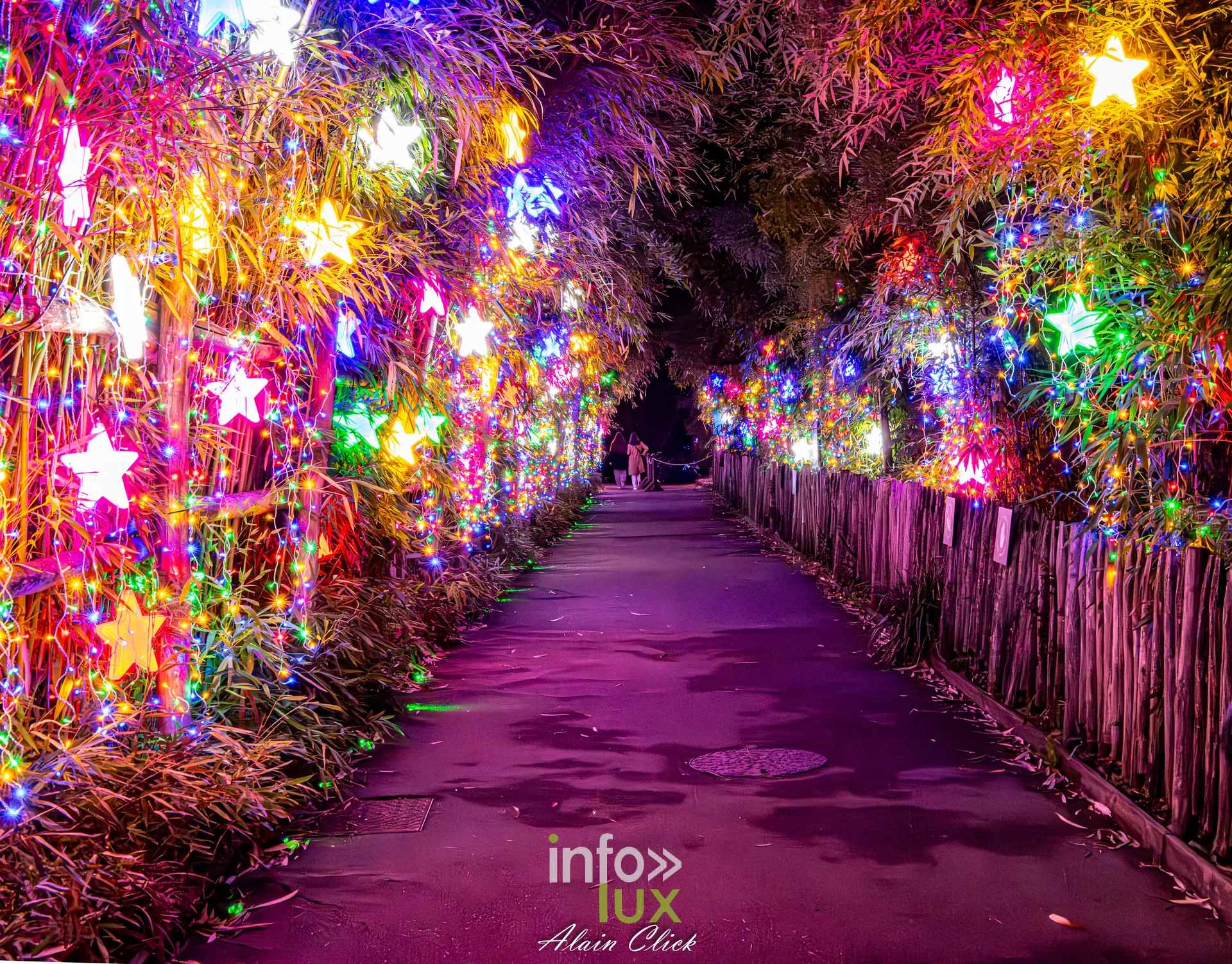Luminescences 2026-2027 au Zoo d’Amnéville : tunnel de guirlandes et d’étoiles (photo Alain Click)
