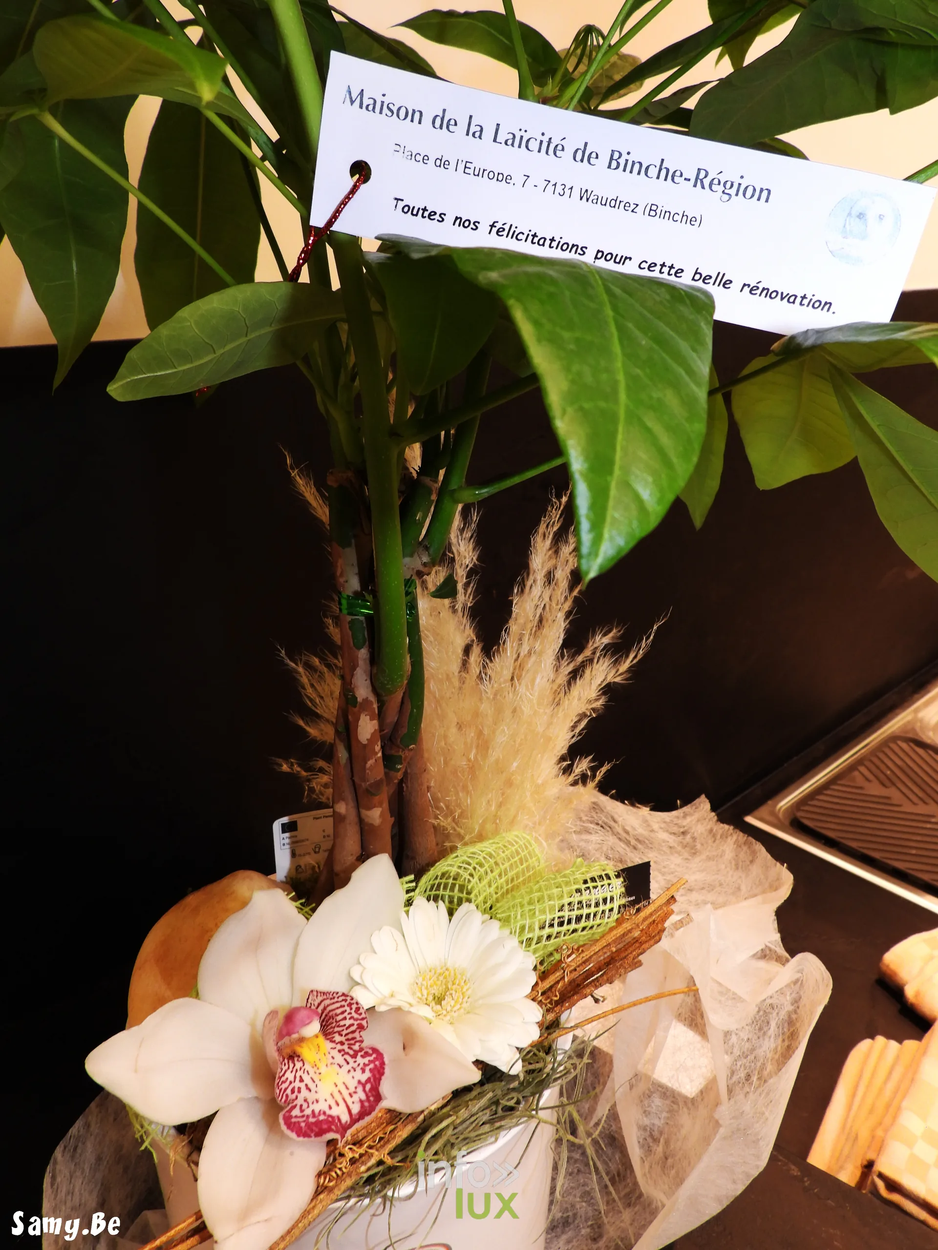 Inauguration de la Maison de la Laïcité de Frameries, 2 octobre 2026 : Une composition florale offerte pour l’inauguration